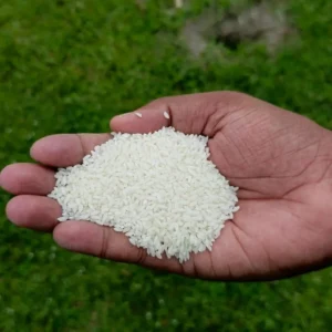 চিনিগুড়া পোলাওর চাল ১০ কেজি (হোম ডেলিভারী)