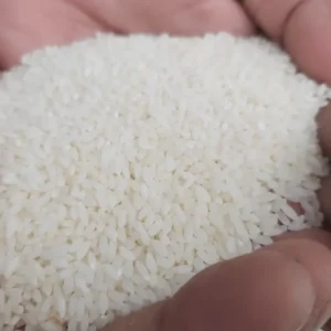 চিনিগুড়া পোলাওর চাল ২৫ কেজি (পয়েন্ট ডেলিভারী)